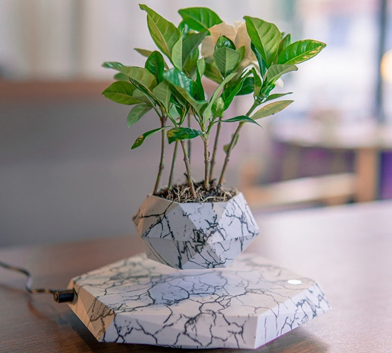 Marble Levitating Plant Pot - Magnetic Floating Planter for Home & Office Decor | Unique Bonsai Display & Kids Birthday Gift